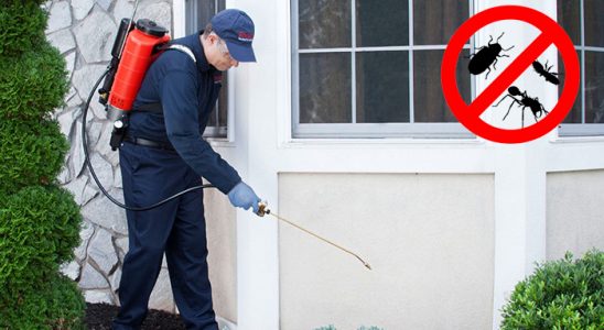 Gelendost Gümüşkurt İlaçlama böcek ilaçlama ve haşere kontrolü — ilaclama-tr.com